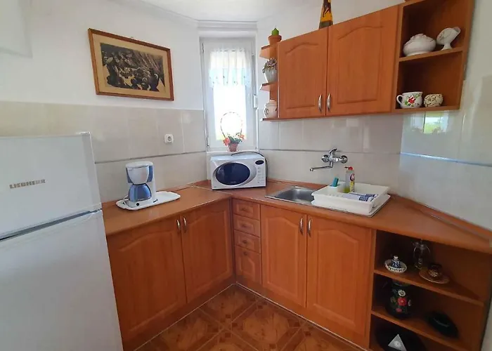 In - Balaton 19917 * シオーフォク